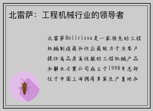 北雷萨：工程机械行业的领导者